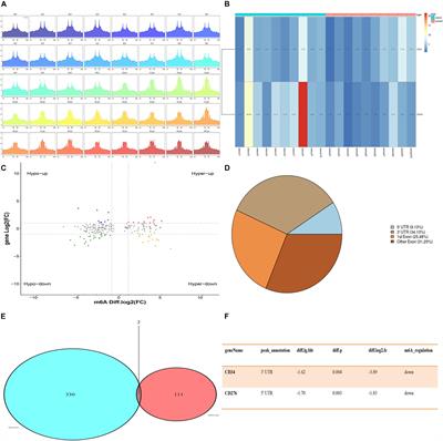 Decreased m6A Modification of CD34/CD276(B7-H3) Leads to Immune Escape in Colon Cancer